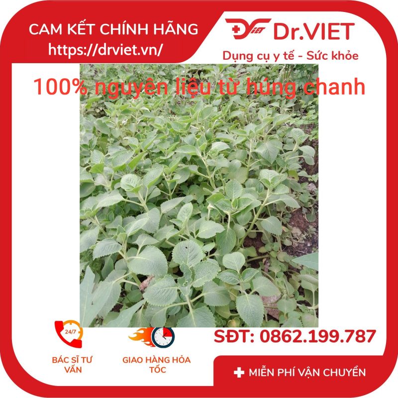 Hydrosol húng chanh Befine Hỗ trợ giảm ho đau họng 8 Hydrosol húng chanh Befine Hỗ trợ giảm ho đau họng