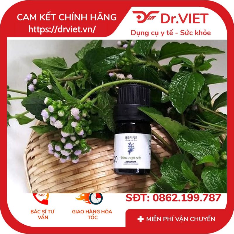 Tinh dầu Hoa Ngũ Sắc Befine Ageratum Essential Oil 10 Tinh dầu Hoa Ngũ Sắc Befine Ageratum Essential Oil