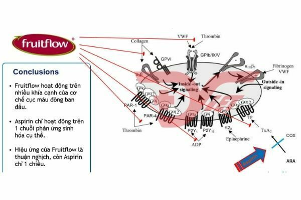 Fruitflow – giải pháp cho tuần hoàn khỏe mạnh