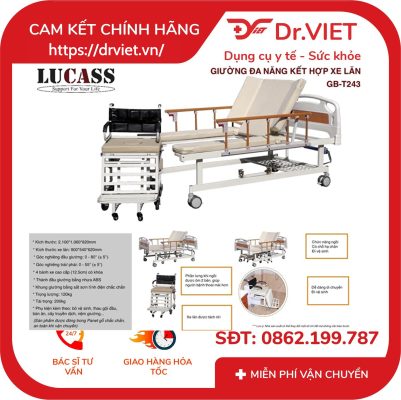Giường Bệnh Tách Xe Lăn Lucass GB-T243 (GB-C243)