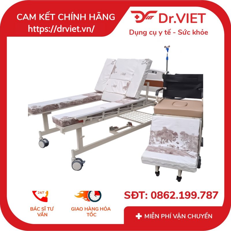 Giường Bệnh Tách Xe Lăn Lucass GB-T243 (GB-C243)