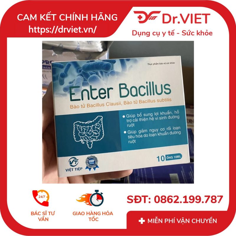 Men tiêu hoá Enter Bacillus cân bằng vi khuẩn đường ruột