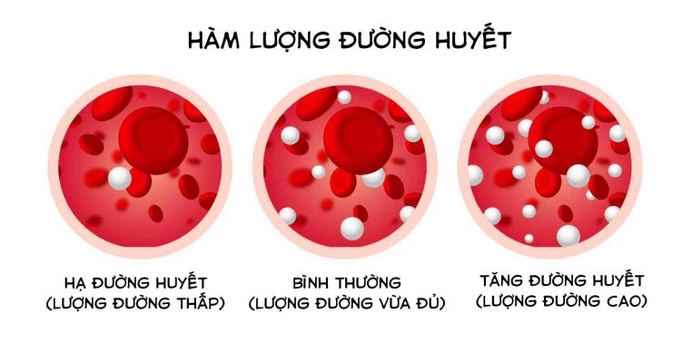 mmol và mg/dl là gì? Chuyển đổi chỉ số đường huyết như thế nào?