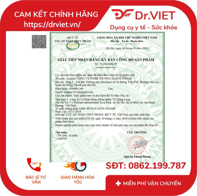 Bổ tỳ mộc nhi Hỗ trợ tiêu hoá