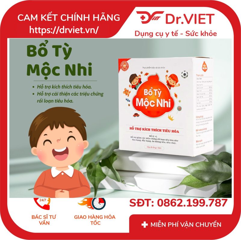 Bổ tỳ mộc nhi Hỗ trợ tiêu hoá