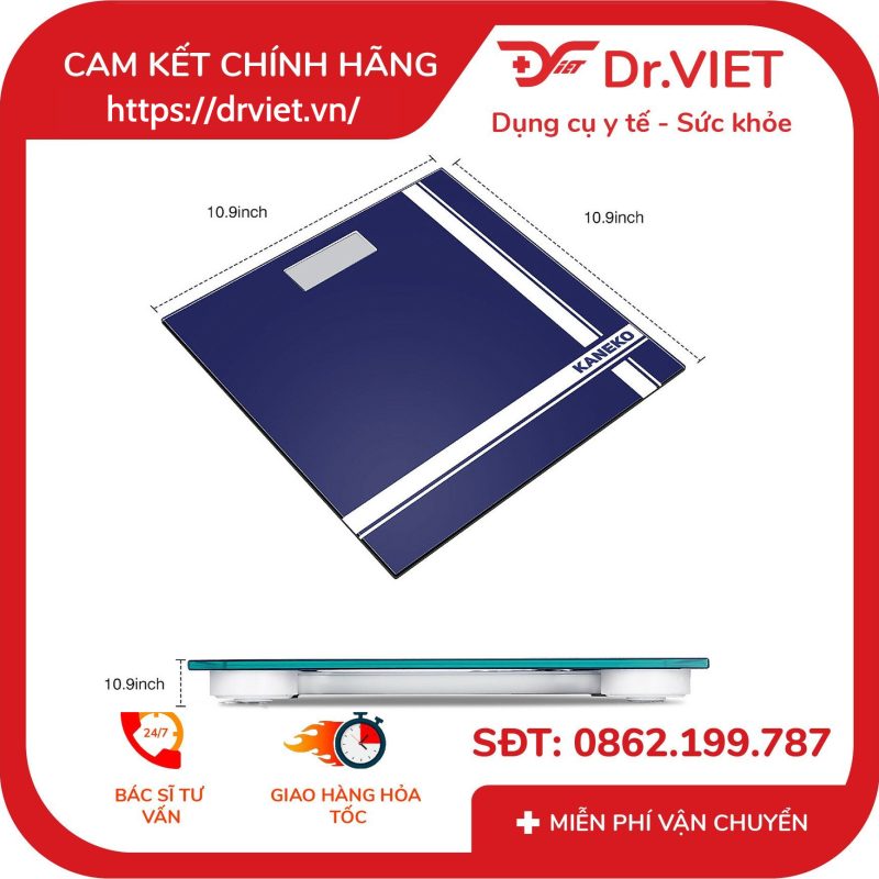 Cân điện tử Kaneko TSB1302