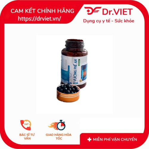 Thực Phẩm Bảo Vệ Sức Khỏe Vương Phế An Plus